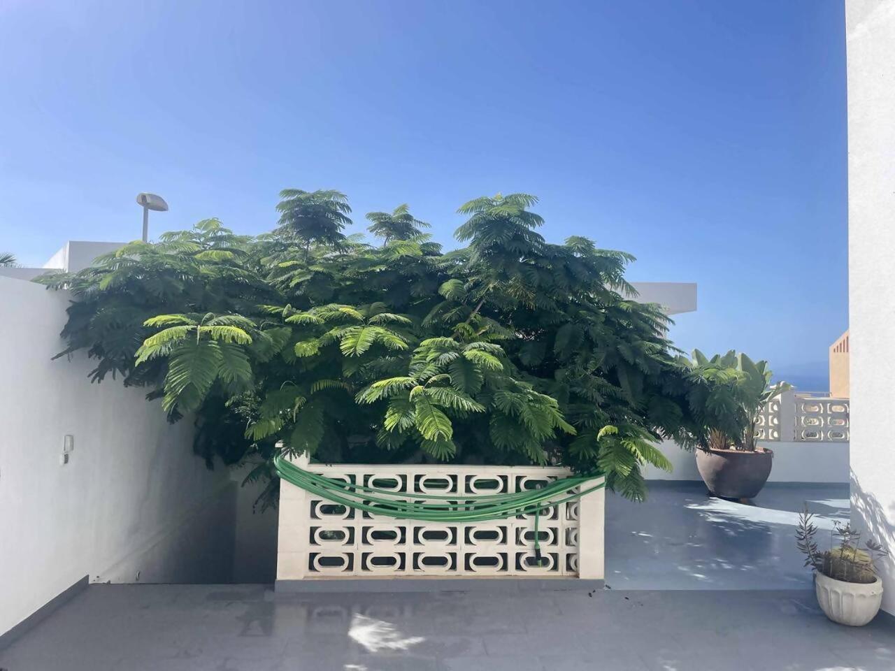 Villa Casa Flamboyant Costa Adeje  Εξωτερικό φωτογραφία